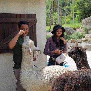 Ticket Bali Farm House